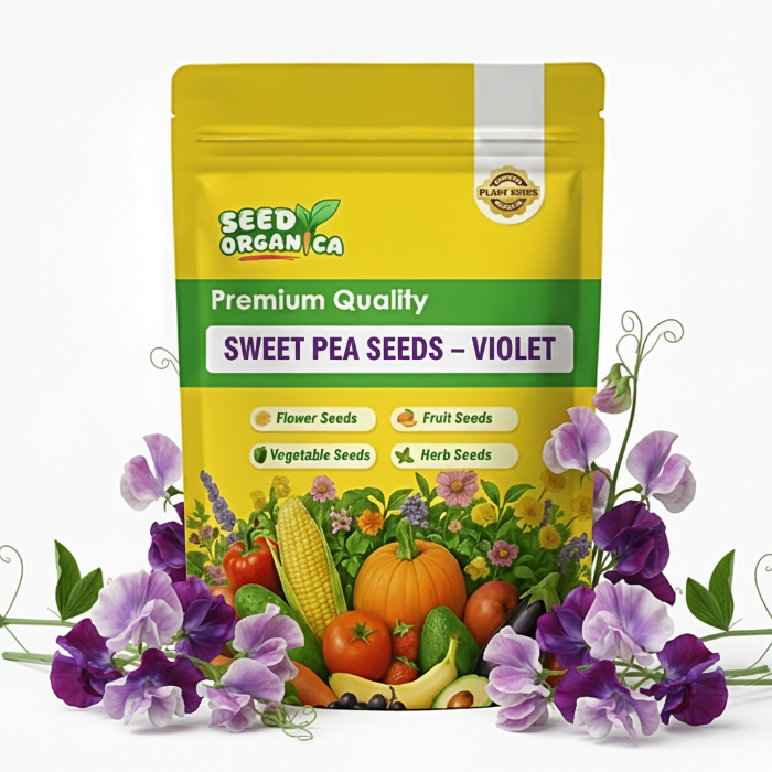 Sweet Pea Seeds – Violet