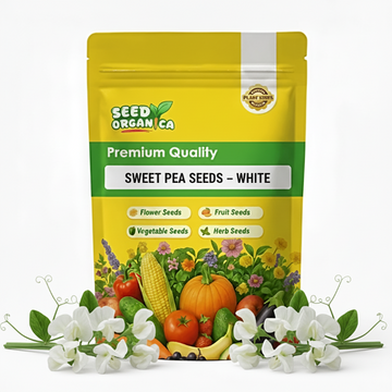 Sweet Pea Seeds – White
