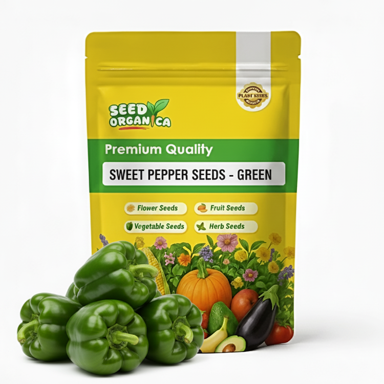 Sweet Pepper Seeds - Green