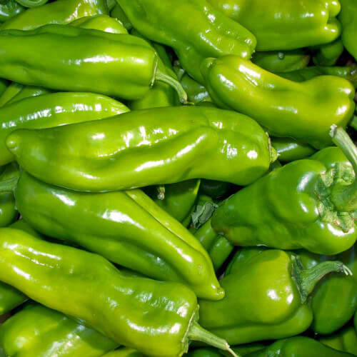 Sweet Pepper Seeds - Green