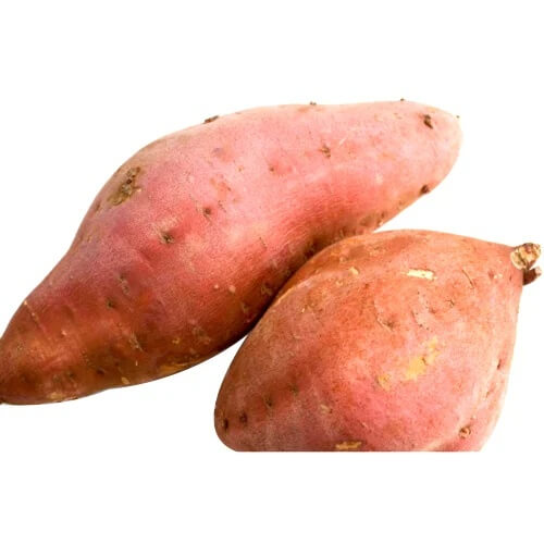 Sweet Potato Seeds - Giant