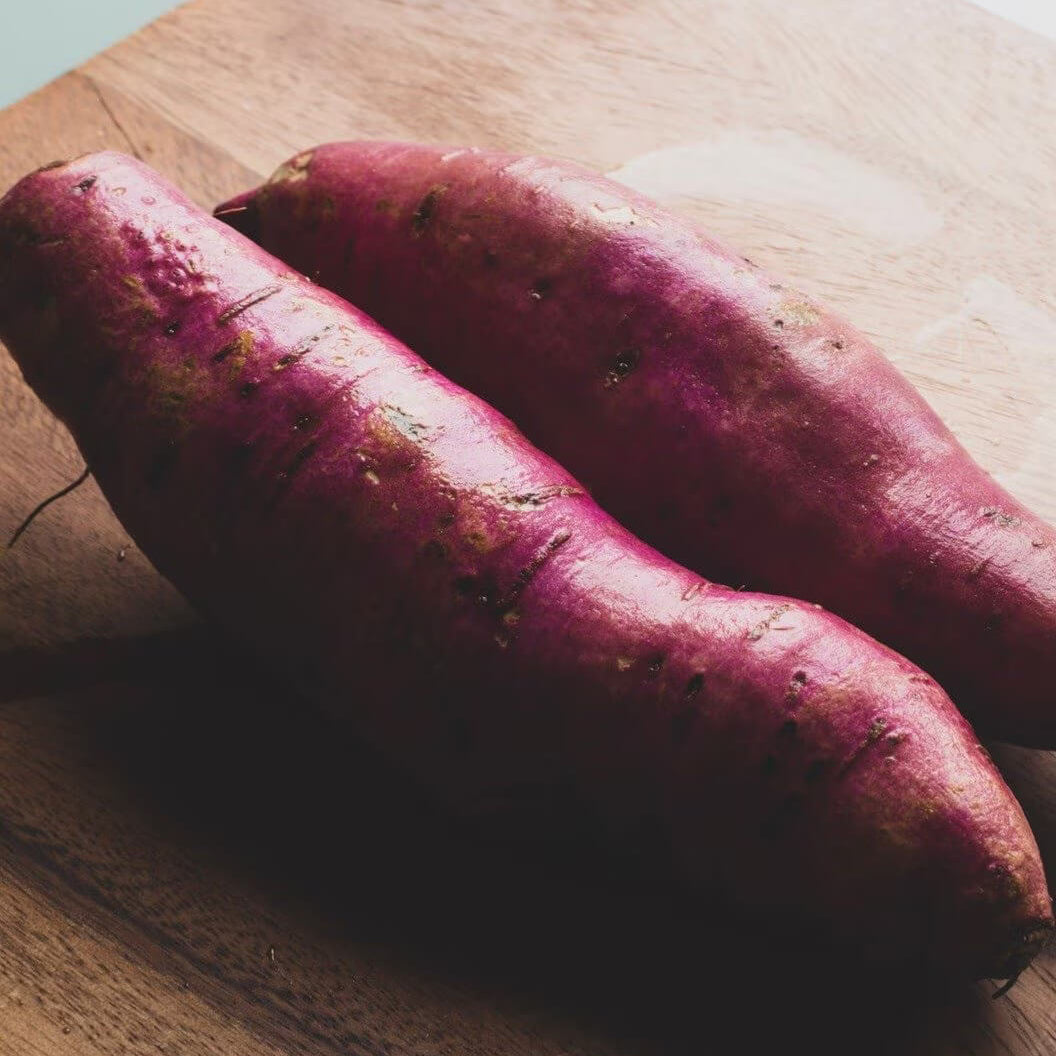 Sweet Potato Seeds - Light Violet