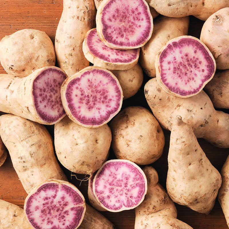 Sweet Potato Seeds - Okinawa
