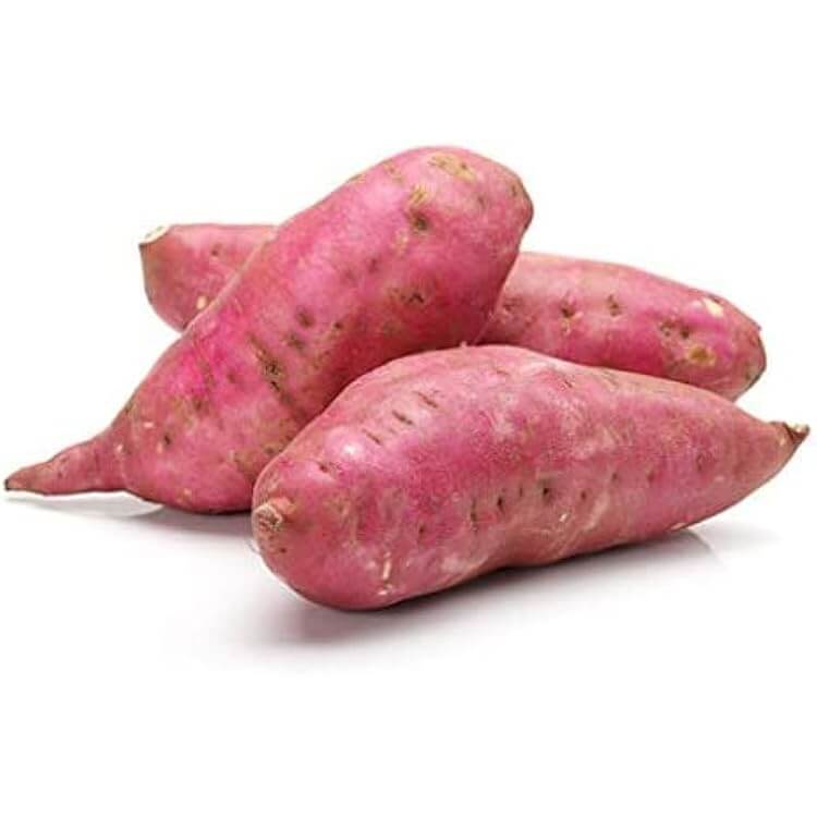 Sweet Potato Seeds - Pink 