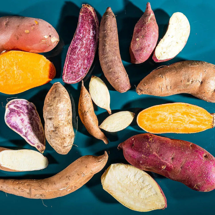 Sweet Potato Seeds – Mixed
