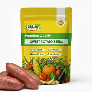 Sweet Potato Seeds