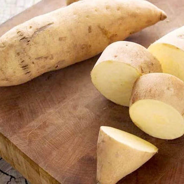 Sweet Potato Seeds - Cream