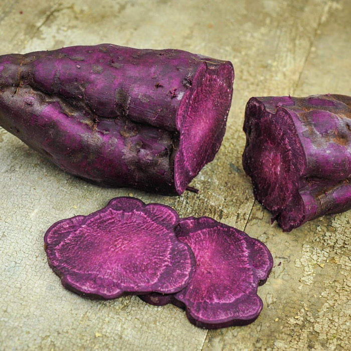 Sweet Potato Seeds - Molokai Purple