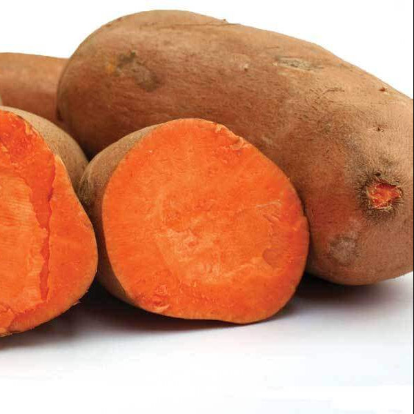 Sweet Potato Seeds - Orange Batatas 