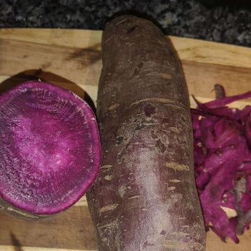 Sweet Potato Seeds - Violet