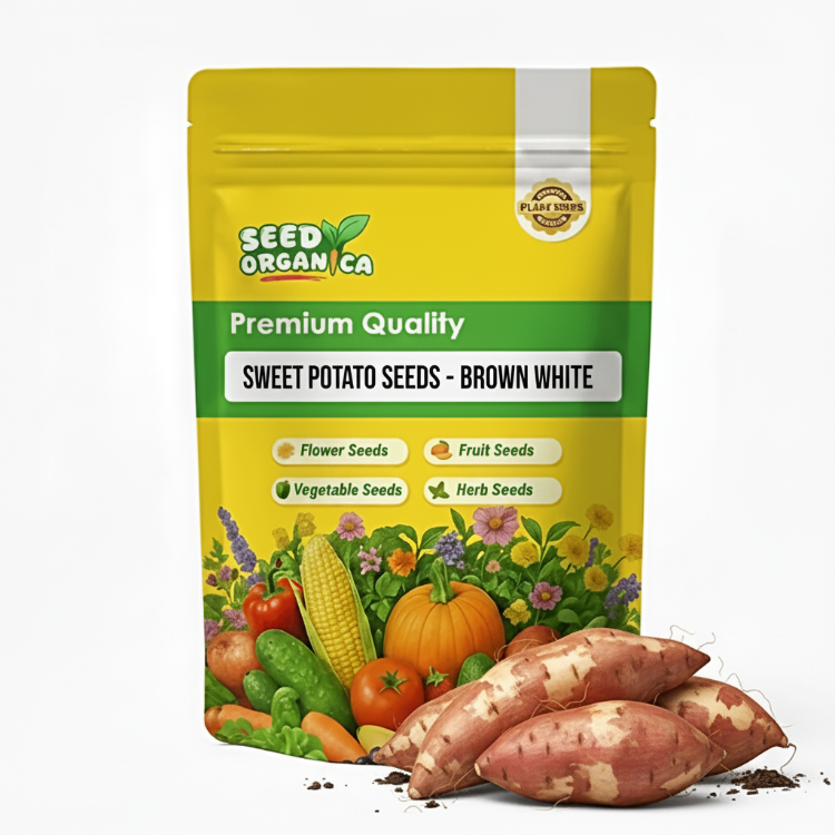Sweet Potato Seeds - Brown White