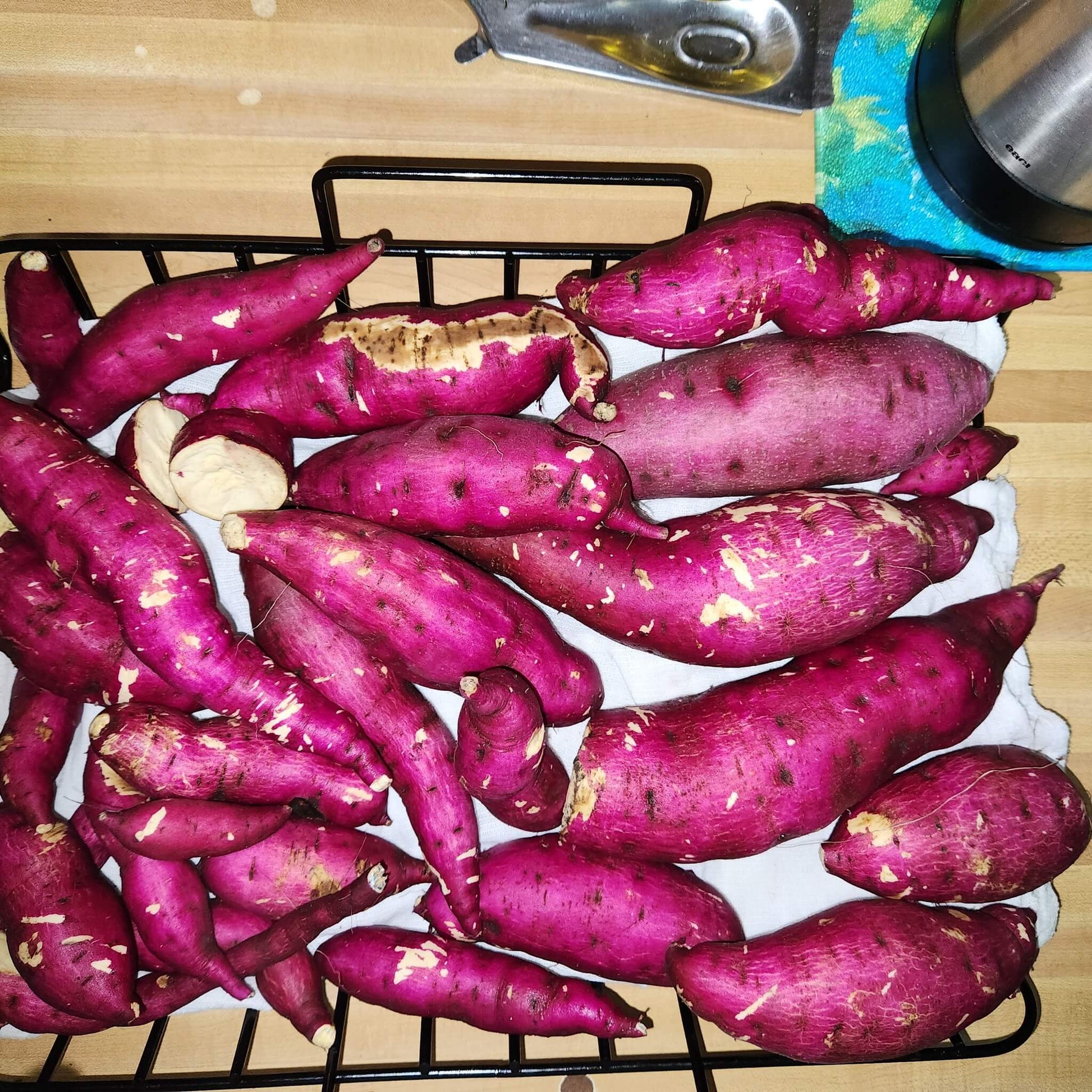 Sweet Potato Seeds - Dark Pink