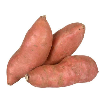 Sweet Potato Seeds - Giant