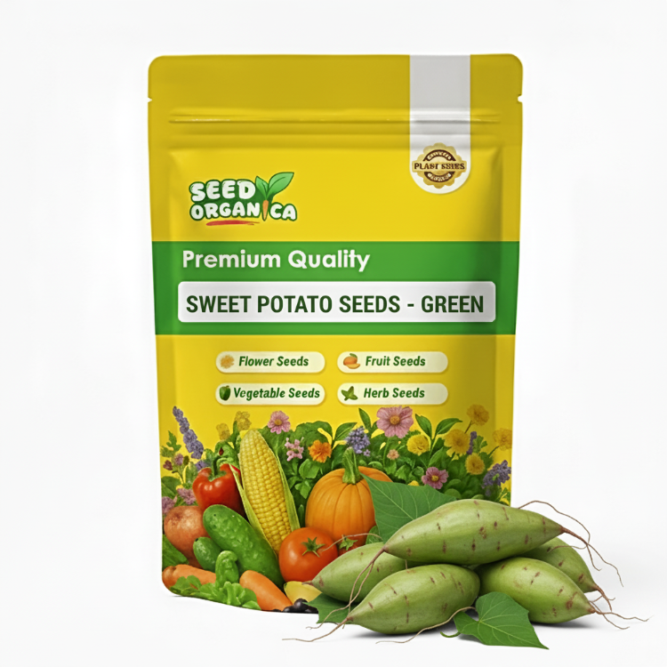 Sweet Potato Seeds - Green
