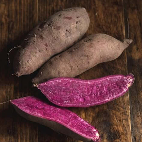 Sweet Potato Seeds - Light Violet
