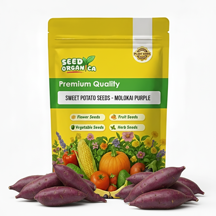 Sweet Potato Seeds - Molokai Purple