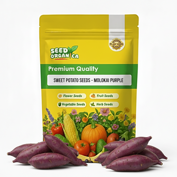 Sweet Potato Seeds - Molokai Purple