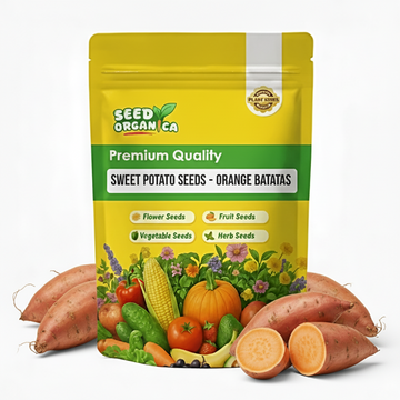 Sweet Potato Seeds - Orange Batatas