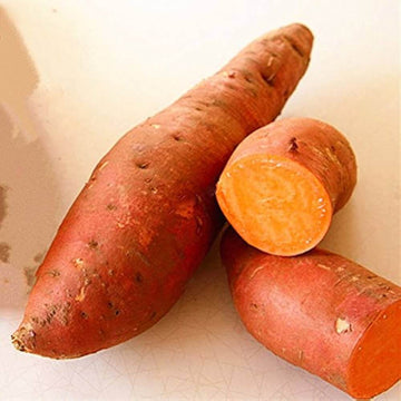 Sweet Potato Seeds - Orange Yellow