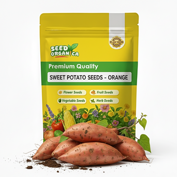 Sweet Potato Seeds - Orange Yellow