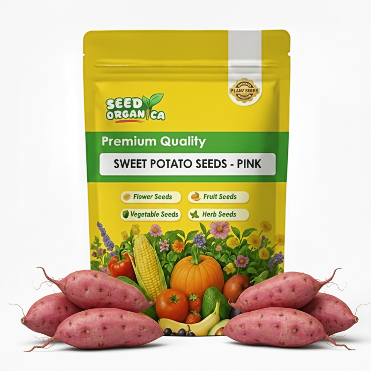 Sweet Potato Seeds - Pink