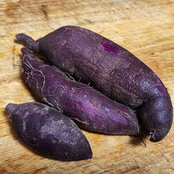 Sweet Potato Seeds - Purple