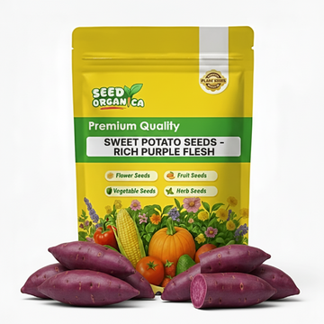 Sweet Potato Seeds - Rich Purple Flesh