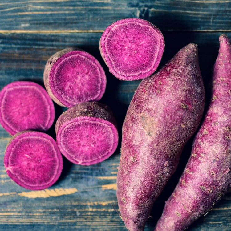 Sweet Potato Seeds – Shop Varieties for Home Gardens