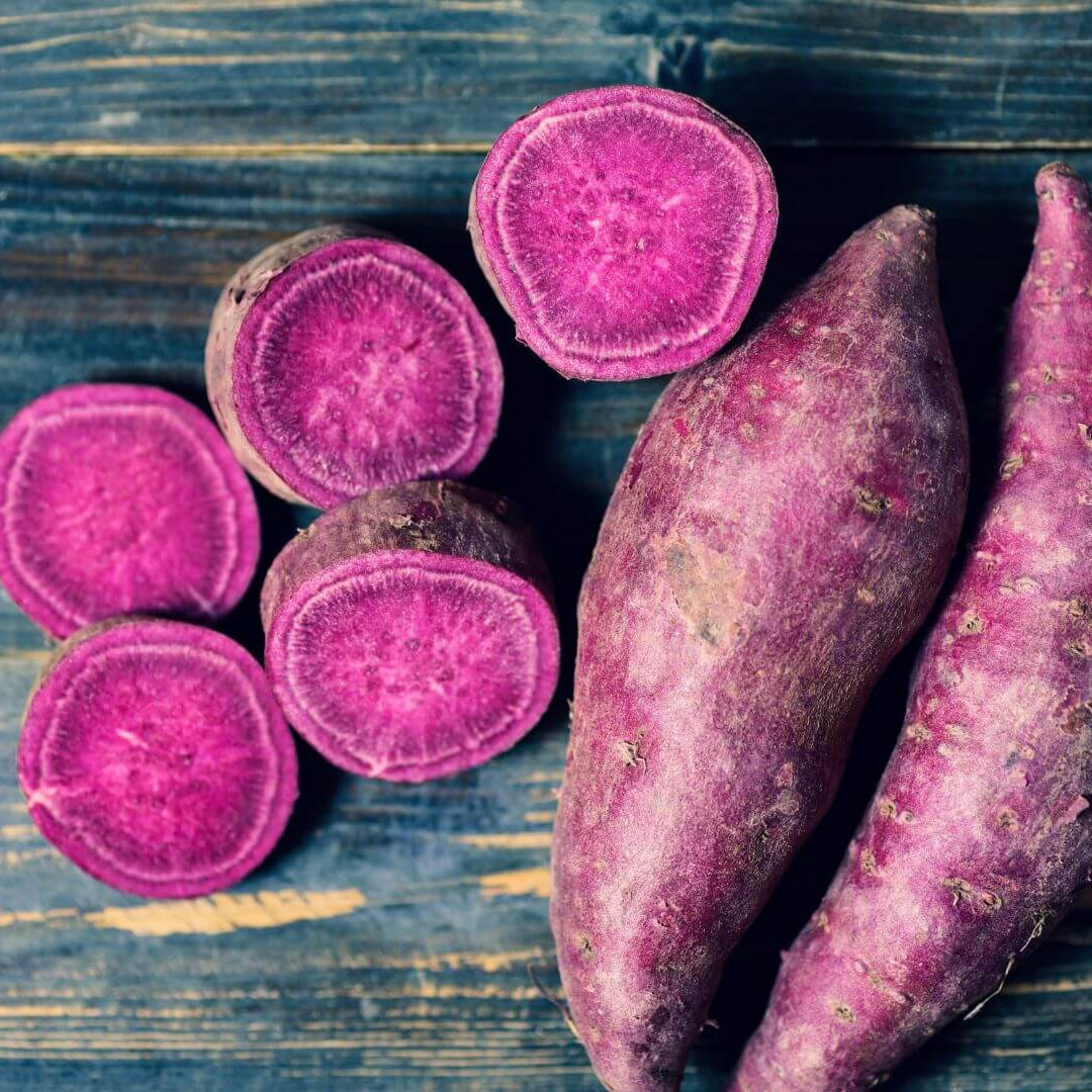 Sweet Potato Seeds - Stokes Purple