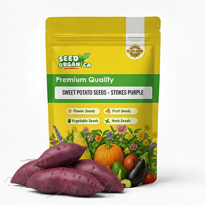 Sweet Potato Seeds – Shop Varieties for Home Gardens
