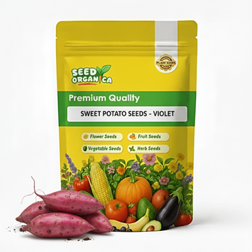 Sweet Potato Seeds - Violet