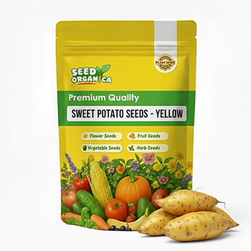 Sweet Potato Seeds - Yellow