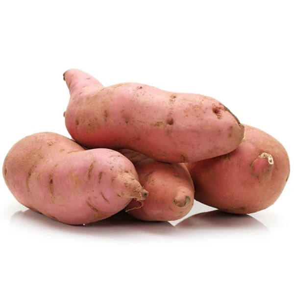 Sweet Potato Seeds - Giant