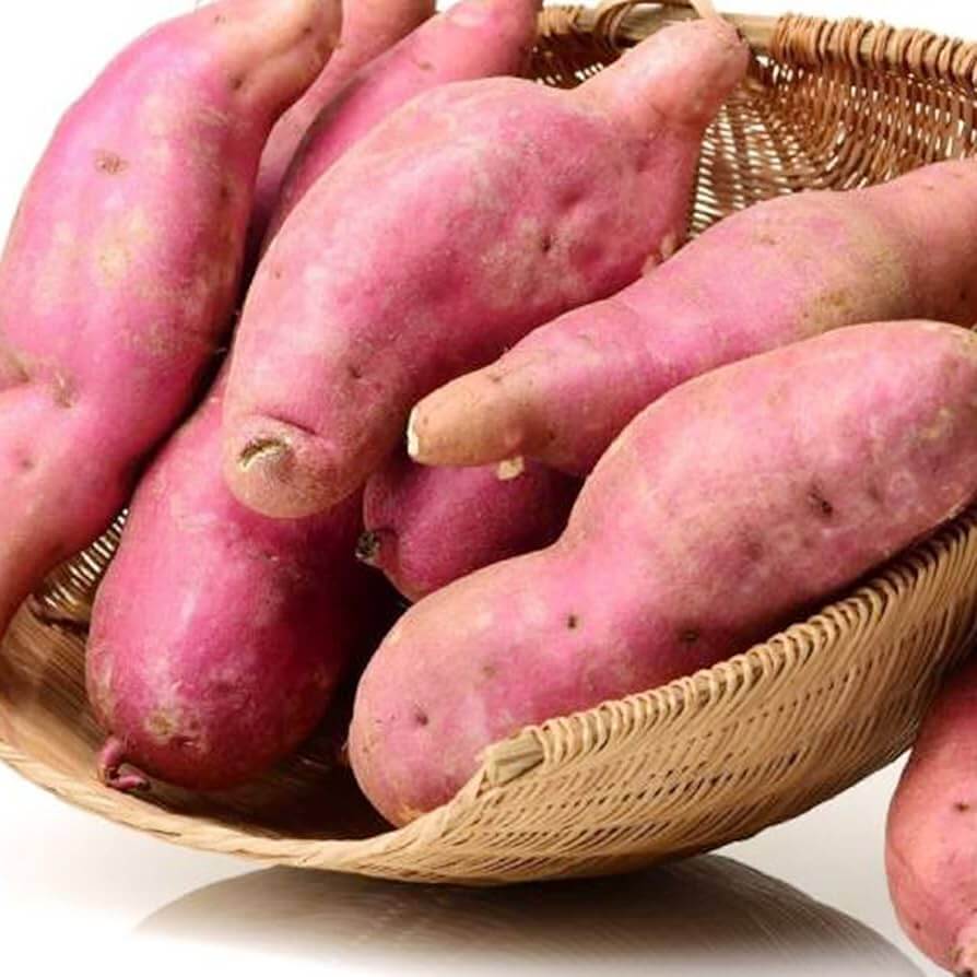 Sweet Potato Seeds - Pink 