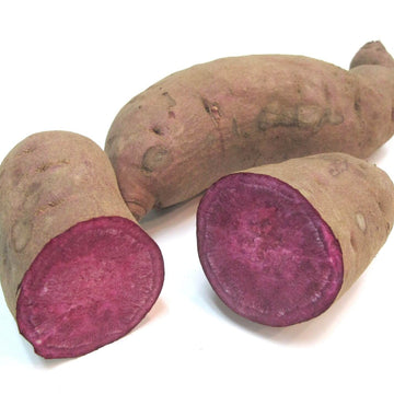 Sweet Potato Seeds - Stokes Purple