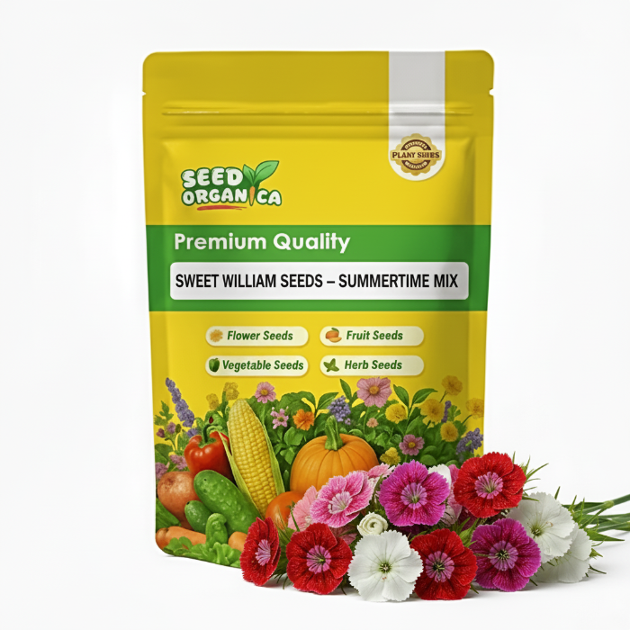 Sweet William Seeds – Summertime Mix