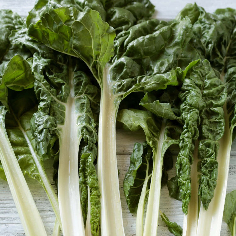 Luculus Lucullus Swiss Chard Seeds | Leafy Vegetable Garden Seeds
