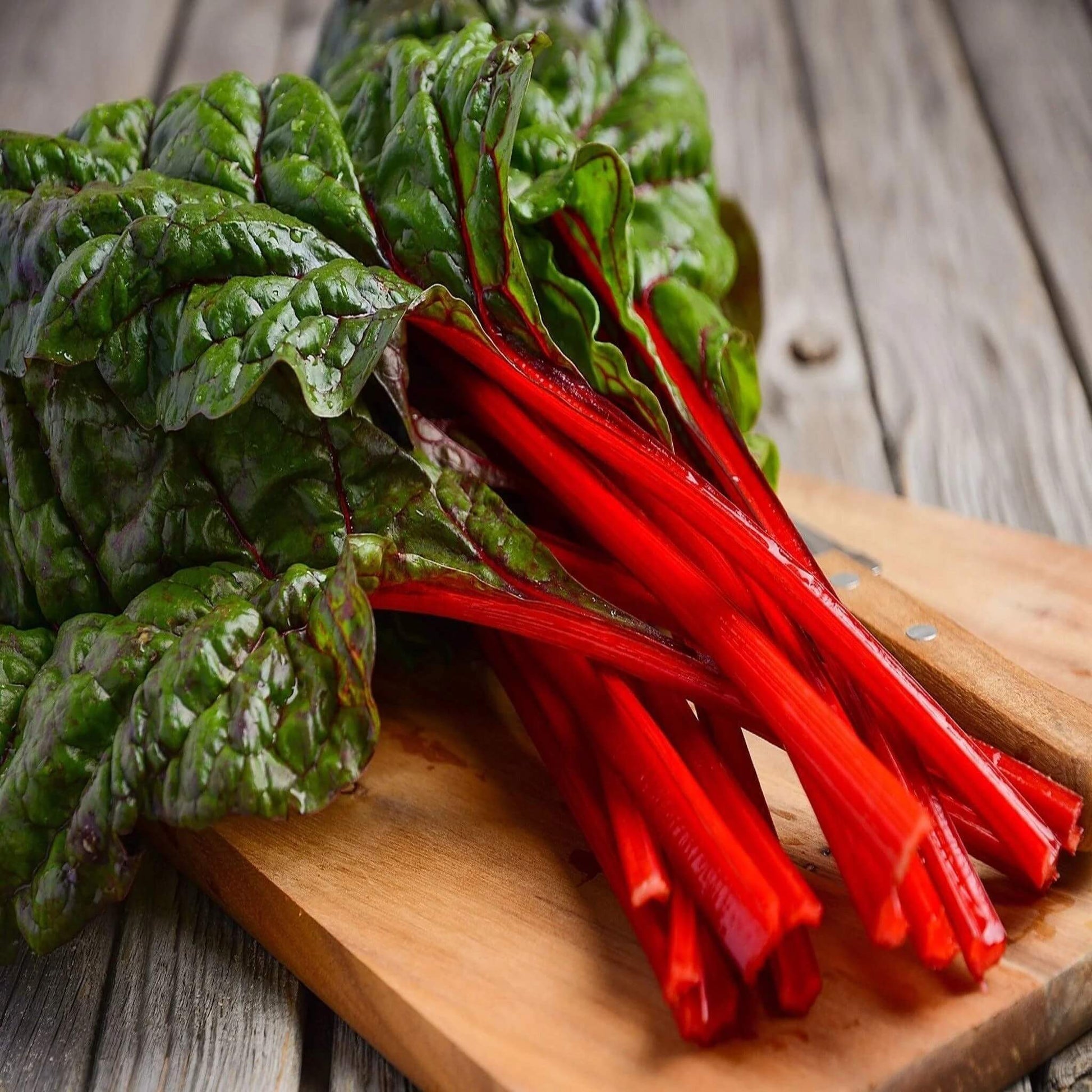 Swiss Chard Seeds – Red 