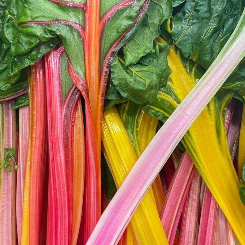 Swiss Chard Seeds - All In One For Home Gardens