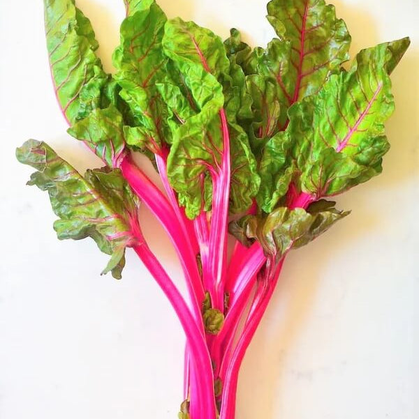 Swiss Chard Seeds – Pink
