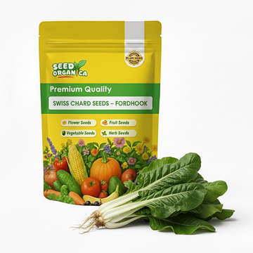 Swiss Chard Seeds – Fordhook