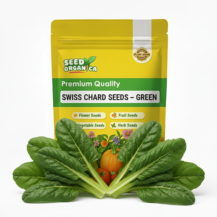 Swiss Chard Seeds – Green