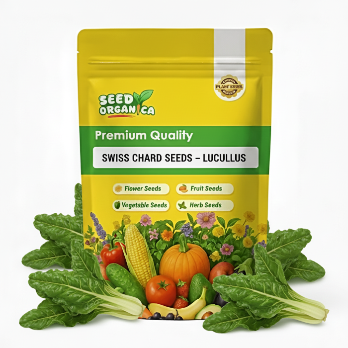 Swiss Chard Seeds – Lucullus