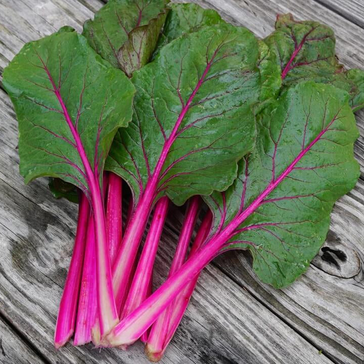 Swiss Chard Seeds – Pink