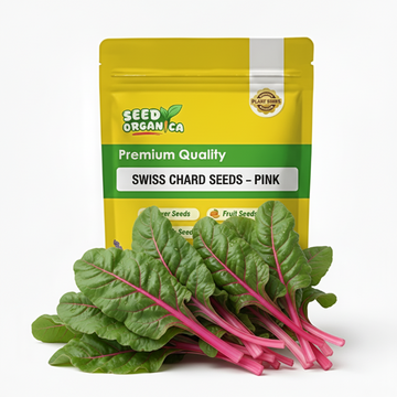Swiss Chard Seeds – Pink