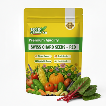 Swiss Chard Seeds – Red