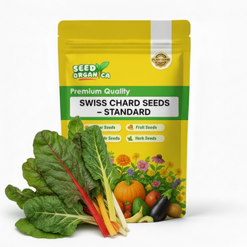 Swiss Chard Seeds – Standard