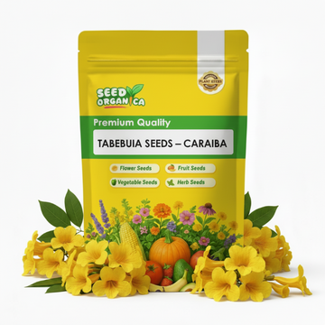 Tabebuia Seeds – Caraiba
