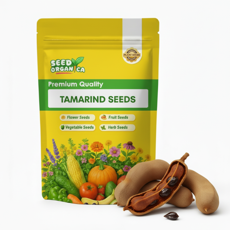 Tamarind Seeds