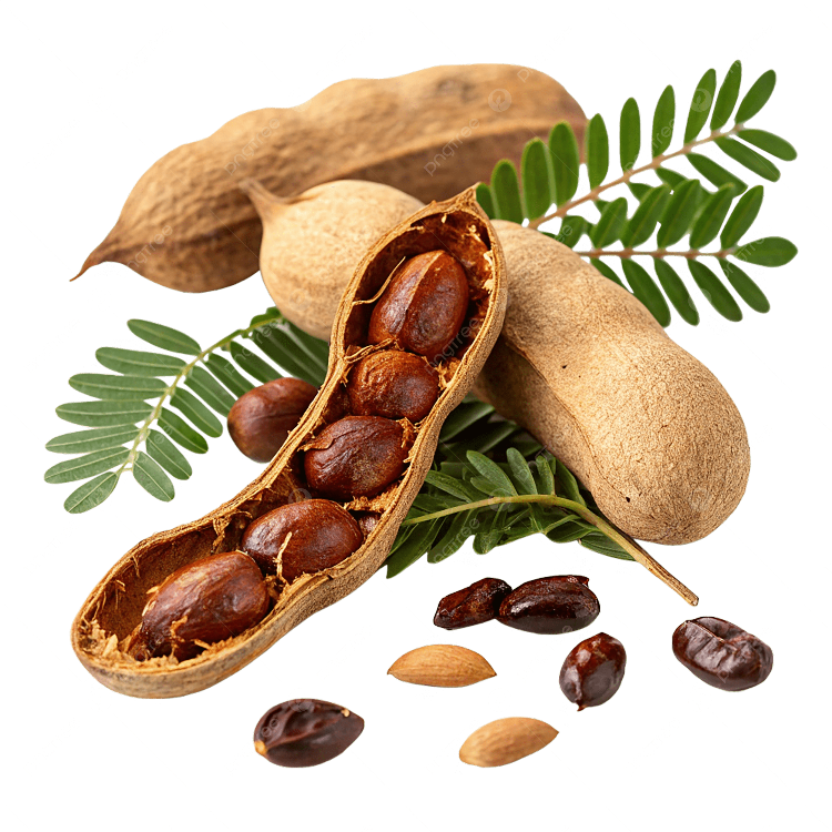 Tamarind Seeds
